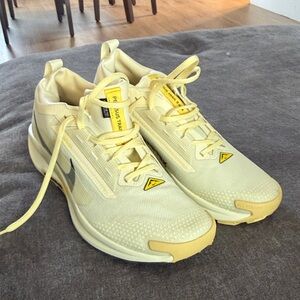 Brand New Nike Pegasus Trail 5 Gortex